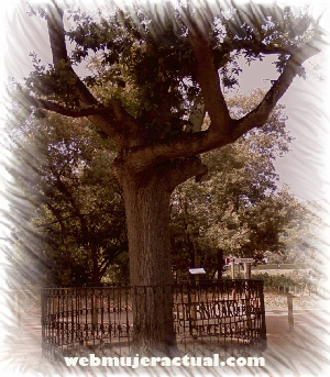 El Guernica - Arenys de Munt - Parque Cal Jalpí